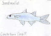Sand Mullet by Camille Fiona Cargill