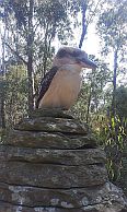 Kookaburra atop the Cairn