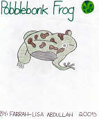 Pobblebonk Frog by Farrah-Lisa Abdullah